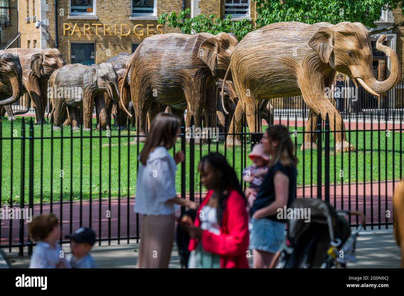 London, UK. 2nd June, 2021. Elephant Family part of a herd of life