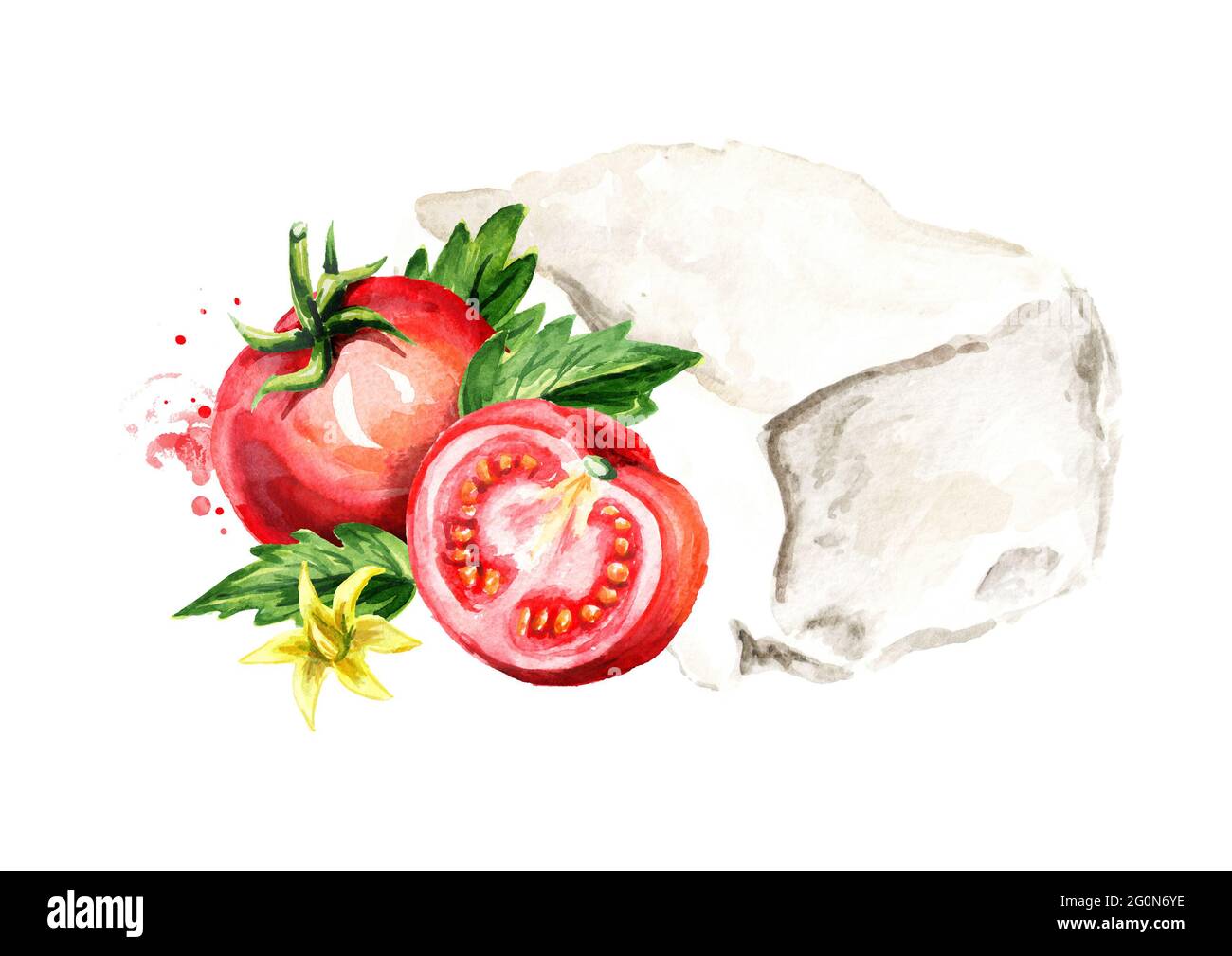 Greek feta cheese block with tomatoes. Watercolor hand drawn