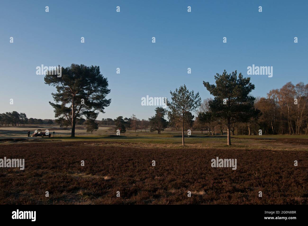 View over heather area to 1st Green on New Course on a frosty morning Walton Heath Golf Club, Walton-on-the-Hill, Surrey, England. Stock Photo