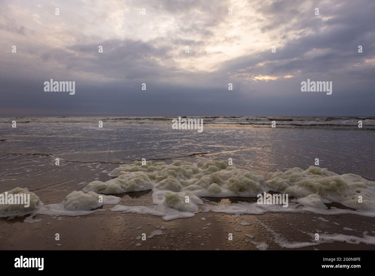Beach in The Netherlands with stranded air bubbles Stock Photo
