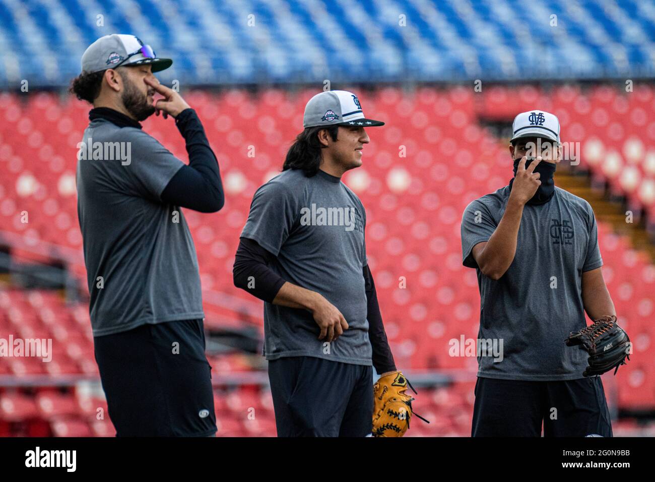 Liga Mexicana De Beisbol De New York Inc.