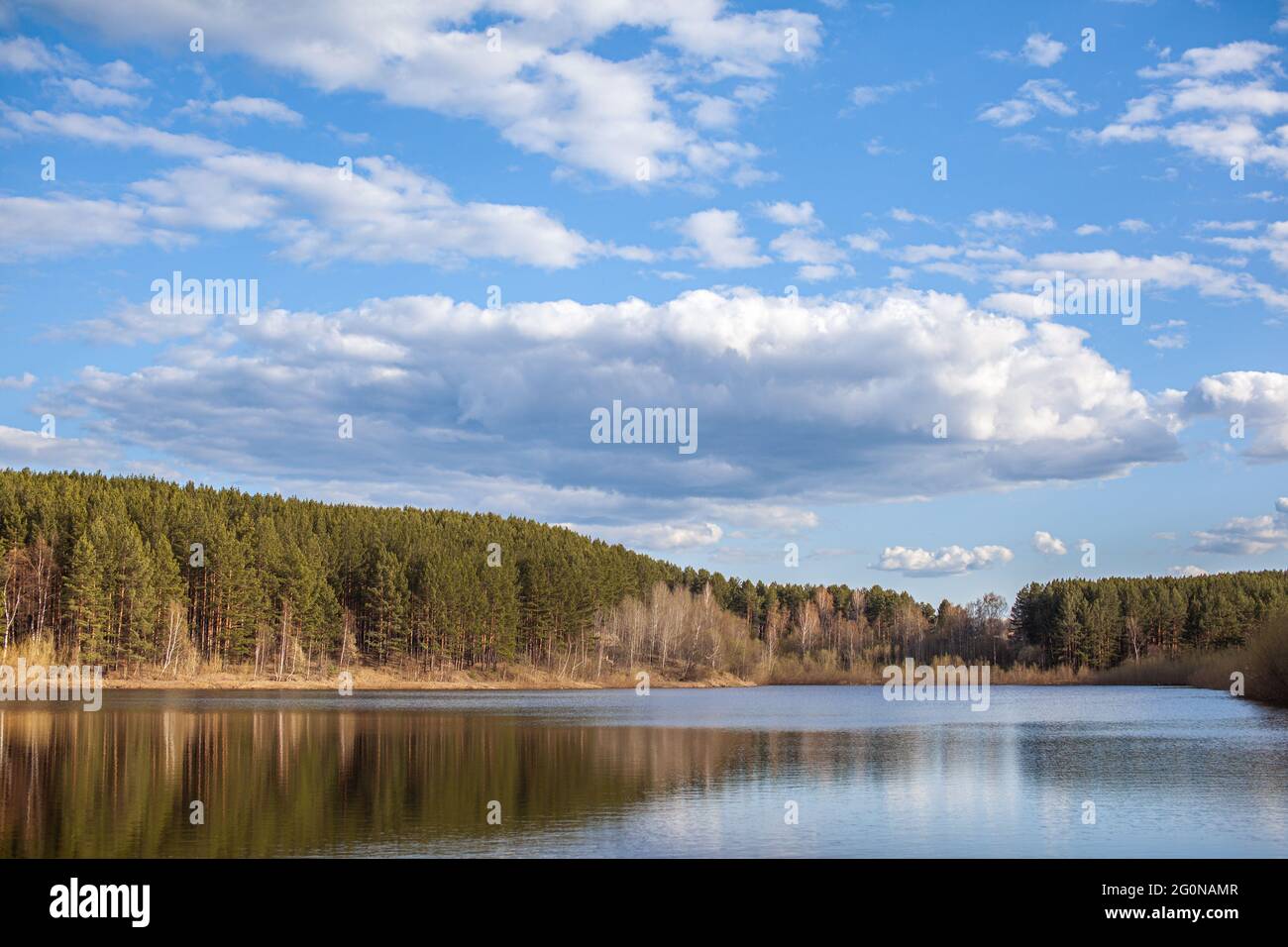A clear lake in a green forest. Blue sky with white clouds over a lake ...