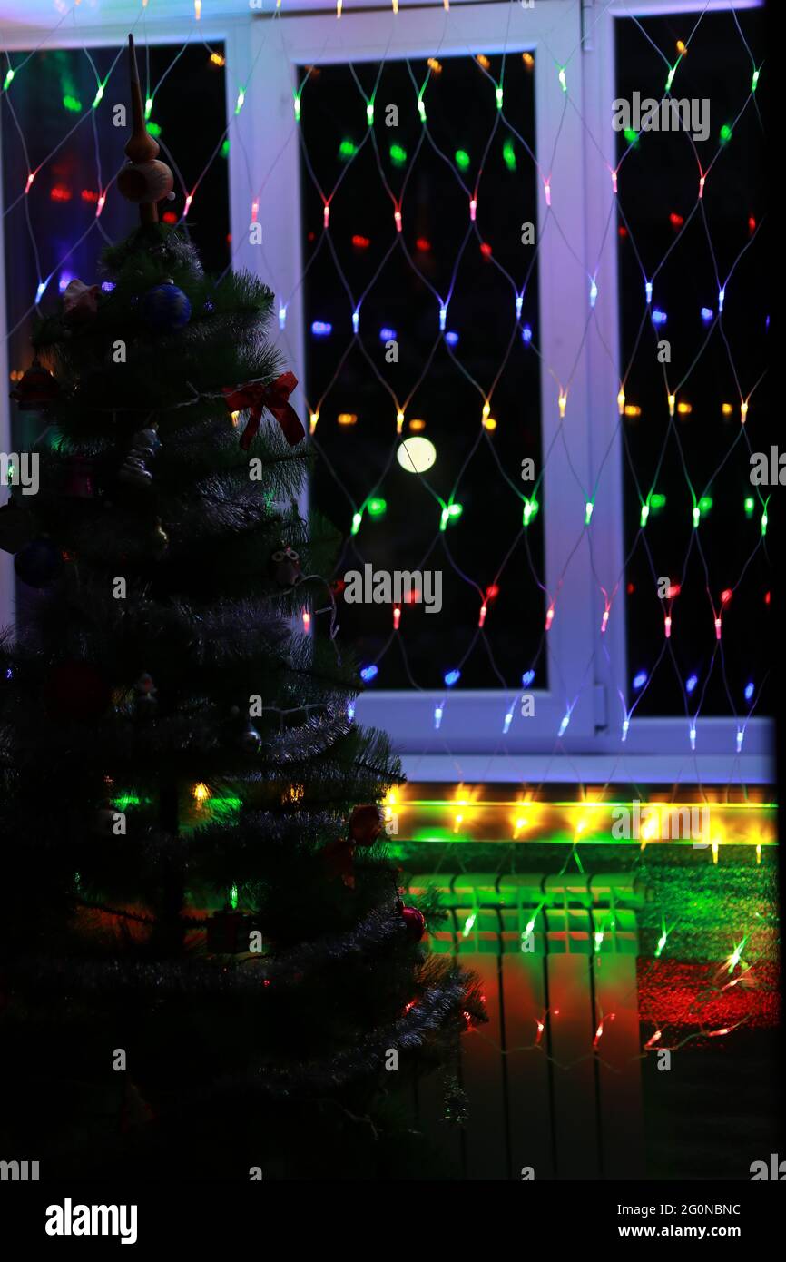 Christmas elegant tree stands under the window Stock Photo