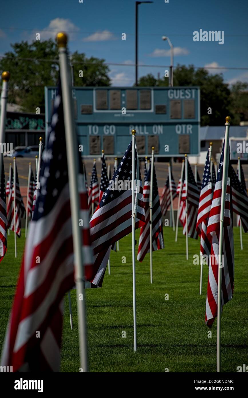 American flags fly wave in memorium honor of freedom veterans soldiers fallen lost during war time in defense of democracy western civilization. Stock Photo