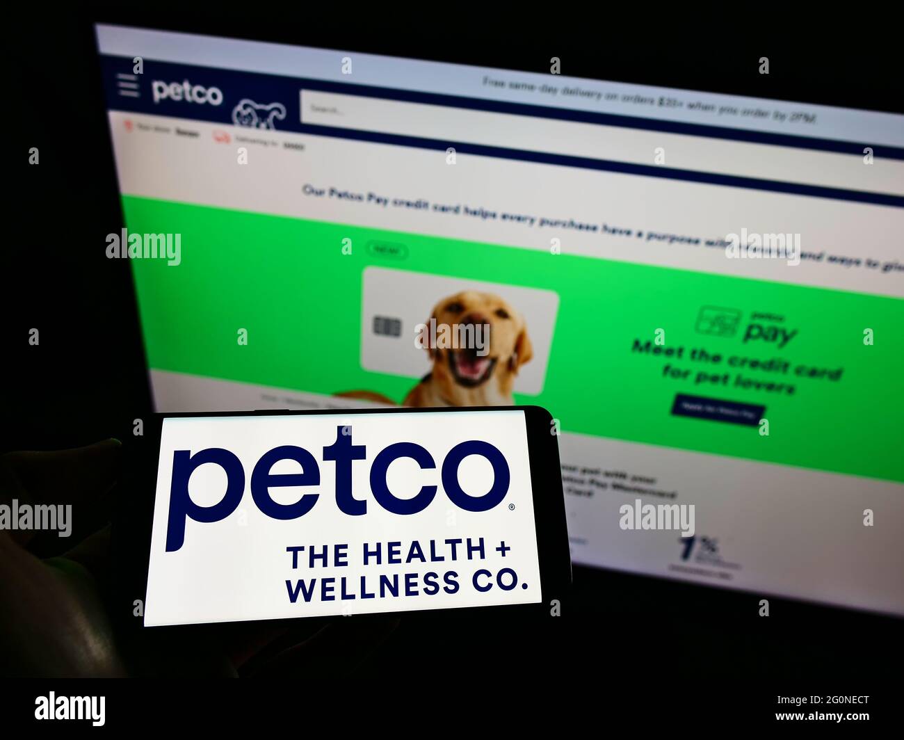 Person holding smartphone with logo of US pet retailer Petco Health and Wellness Company Inc. on screen in front of website. Focus on phone display. Stock Photo