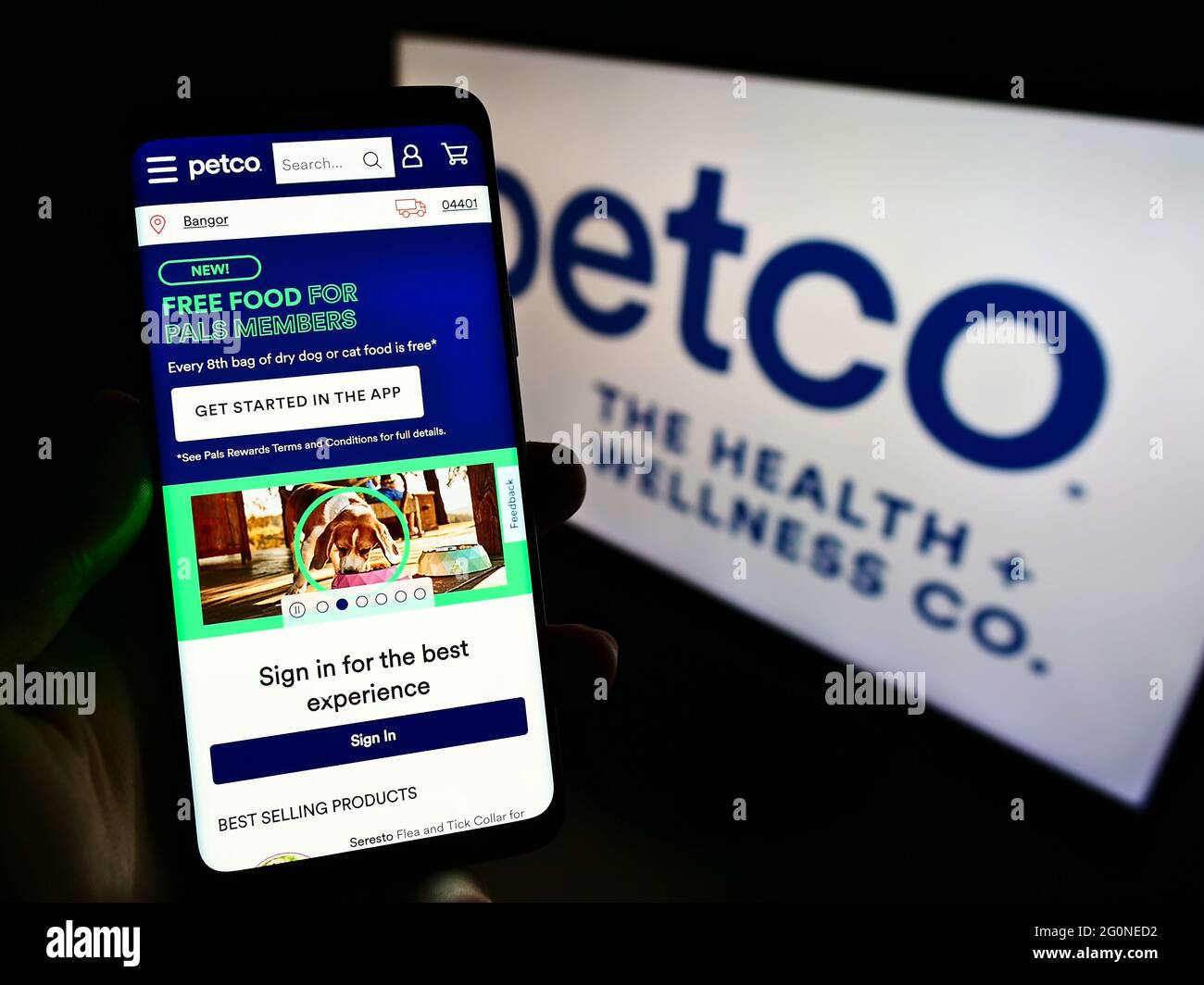 Person holding mobile phone with website of US retailer Petco Health and Wellness Company Inc. on screen with logo. Focus on center of phone display. Stock Photo