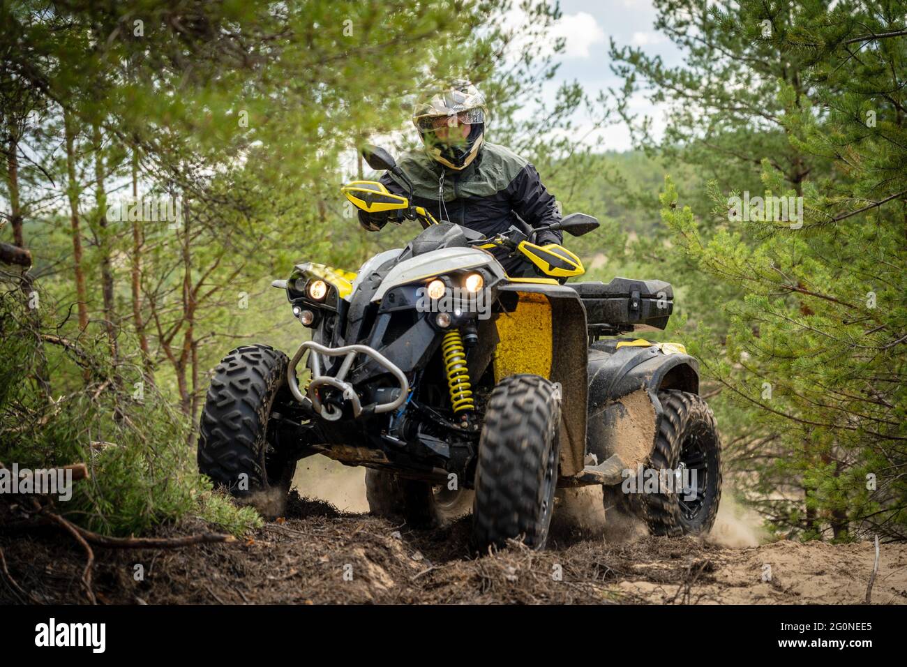 Professional quad biker rides in forest. Quad racing, ATV 4x4 Stock Photo -  Alamy