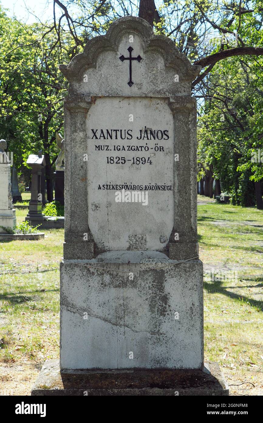 Tomb of János Xántus (John Xantus) zoologist, Kerepesi Cemetery (Fiume Road National Graveyard), 8th District, Budapest, Hungary, Europe Stock Photo