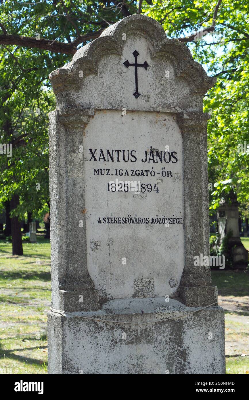 Tomb of János Xántus (John Xantus) zoologist, Kerepesi Cemetery (Fiume Road National Graveyard), 8th District, Budapest, Hungary, Europe Stock Photo
