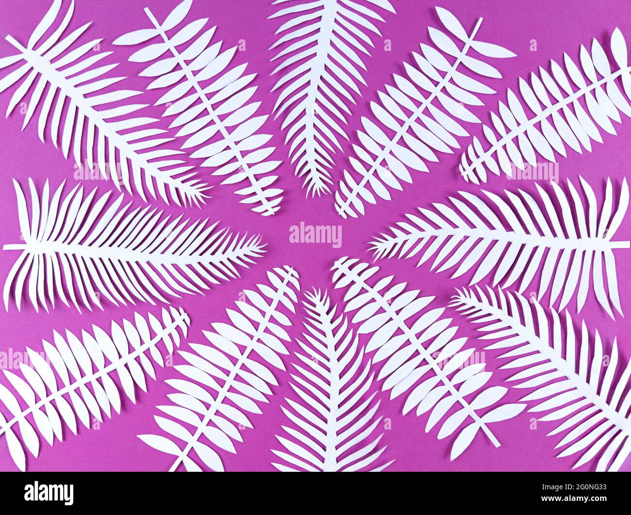White paper cut leaves on pink background. Stock Photo
