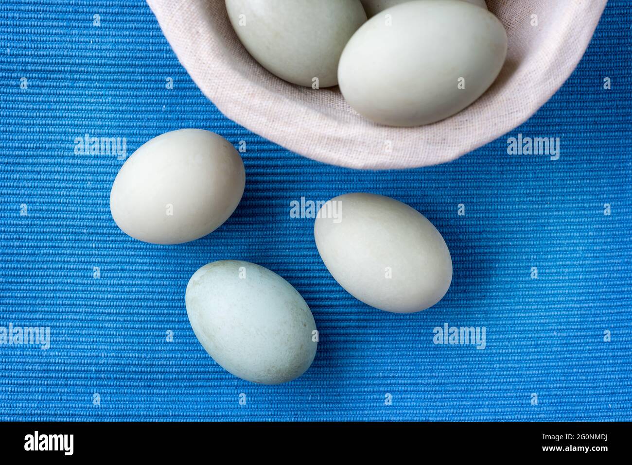 Blue Duck Eggs