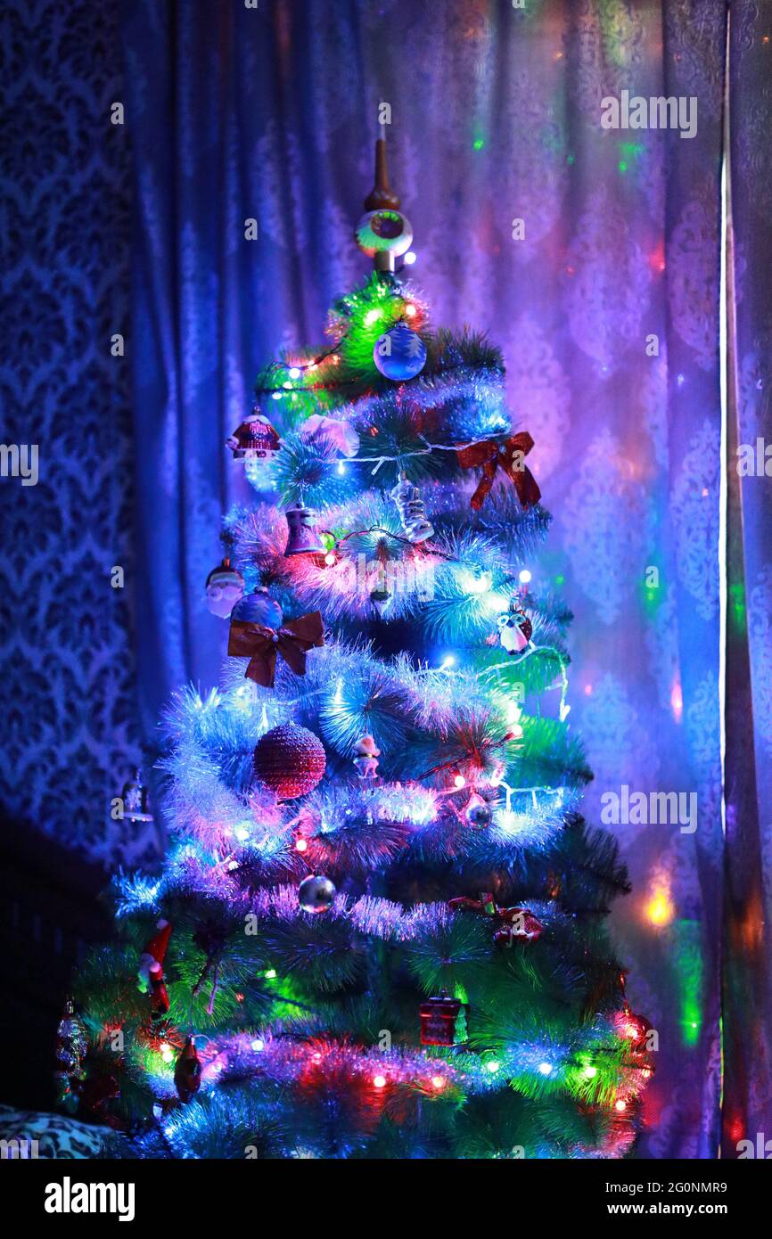 Christmas elegant tree stands under the window Stock Photo