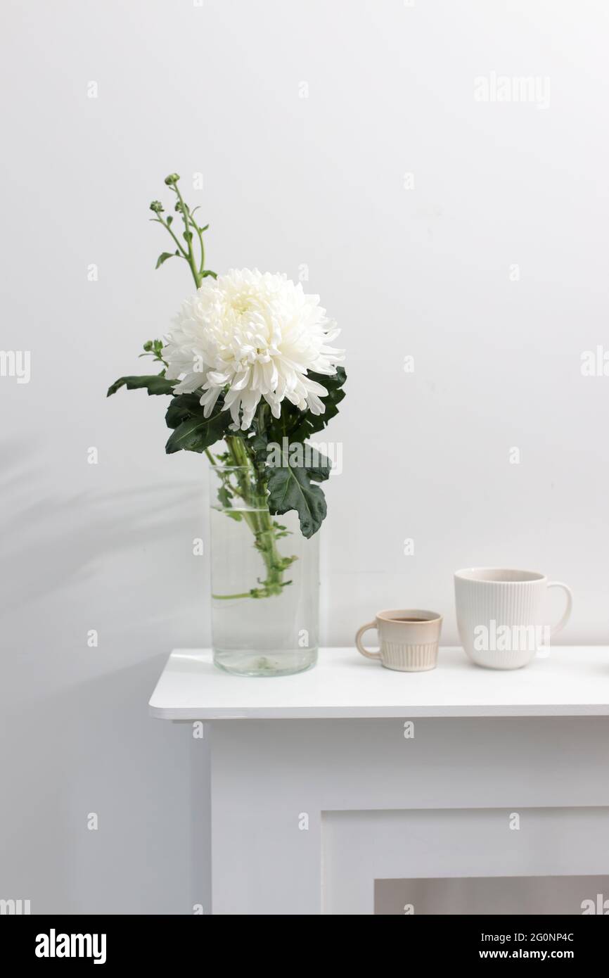 A large chrysanthemum in a glass vase, two fluted cups of coffee and ceramic bird figurines on the table. Office decoration. Copy space Stock Photo