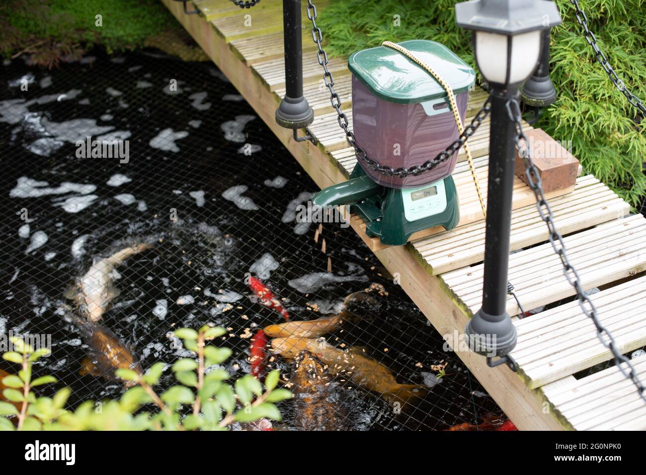 Automatic pond feeder 2025