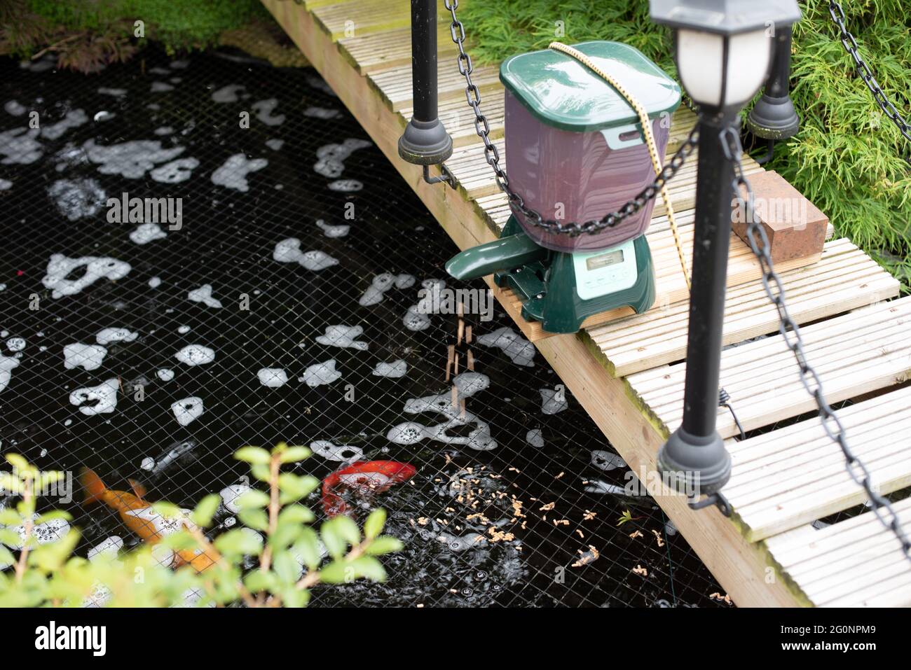 Automatic koi pond fish feeder sales