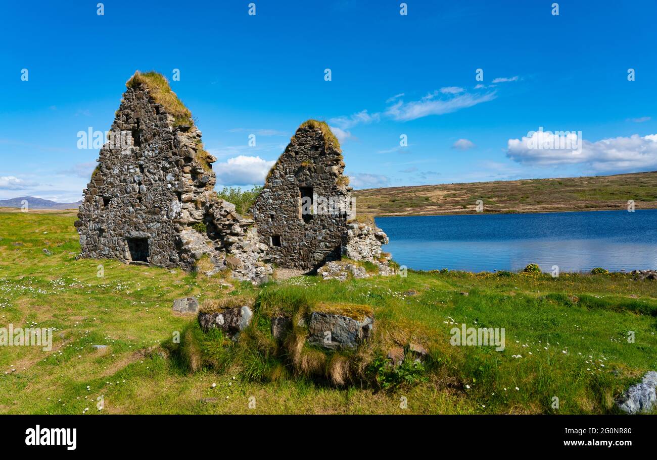 View of Finlaggan historical monument site on Eilean Mòr on Loch Finlaggan, Islay, Inner Hebrides, Scotland, UK Stock Photo