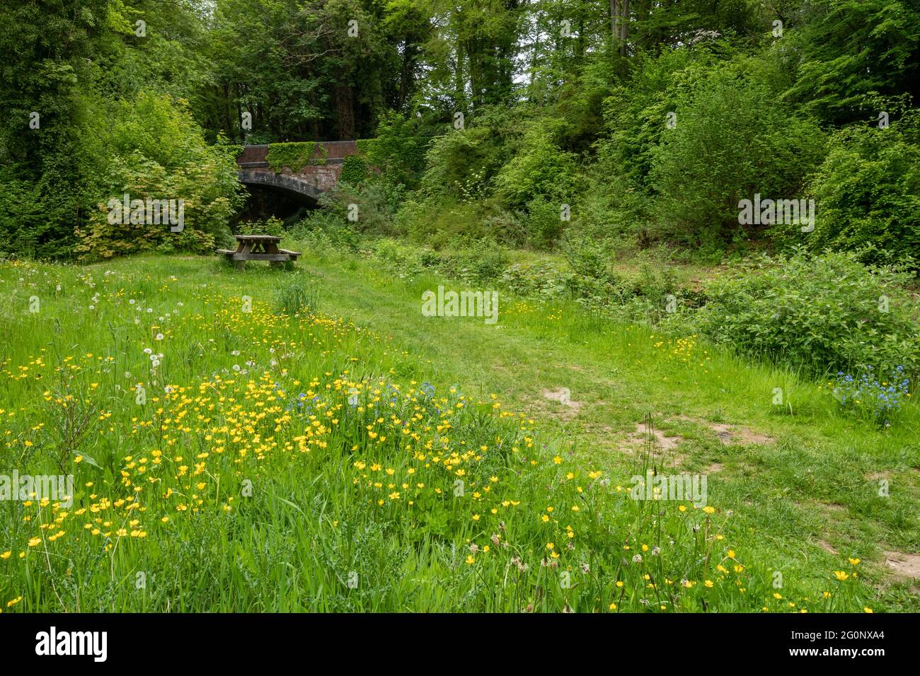 Old railway bridge and picnic area near West Meon at one end of the Meon Valley Trail  in Hampshire, England, UK, during June or Summer. Stock Photo