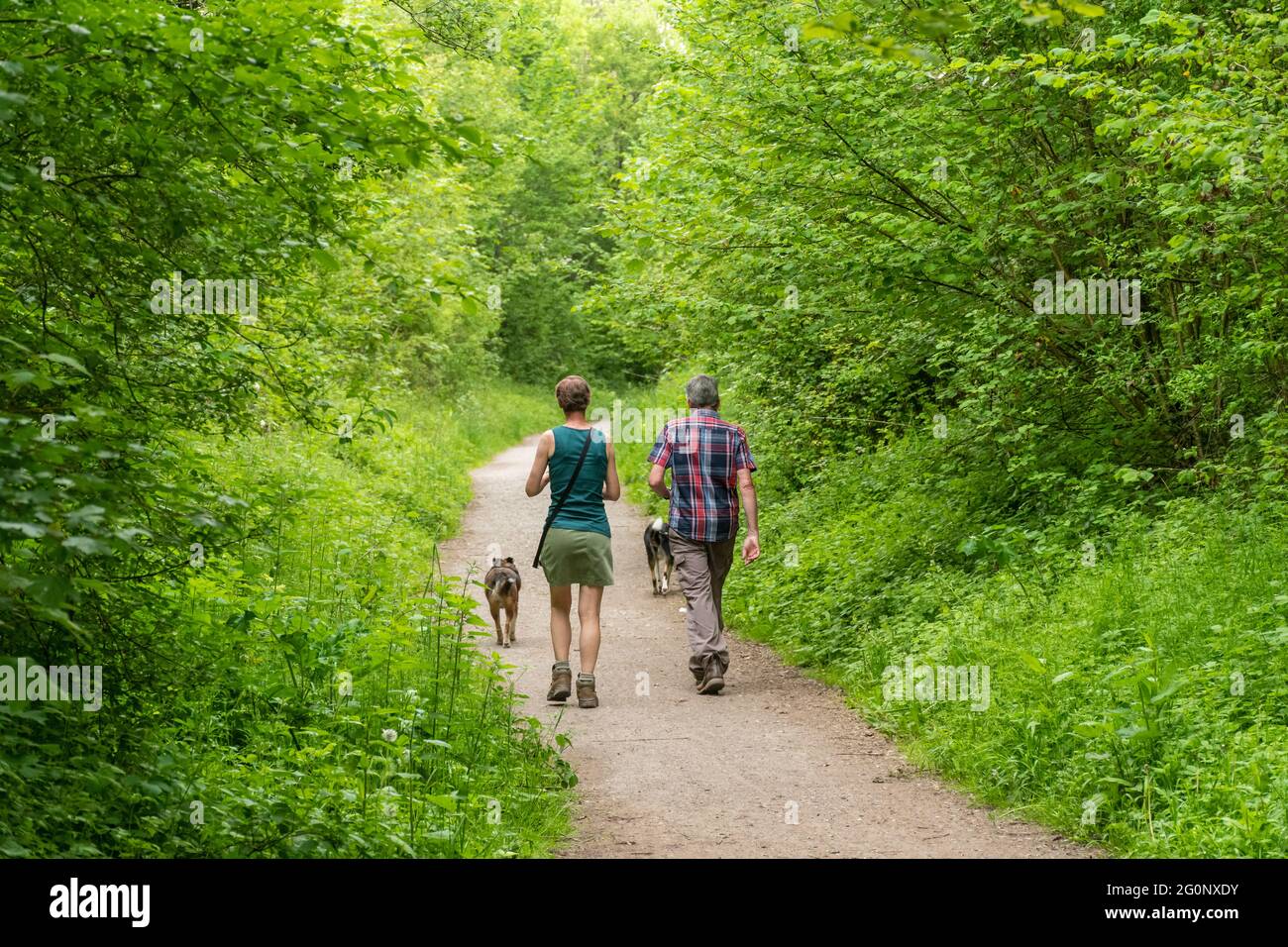 Walkers hiking along the Meon Valley Trail near West Meon in Hampshire, England, UK, during June or Summer. Stock Photo