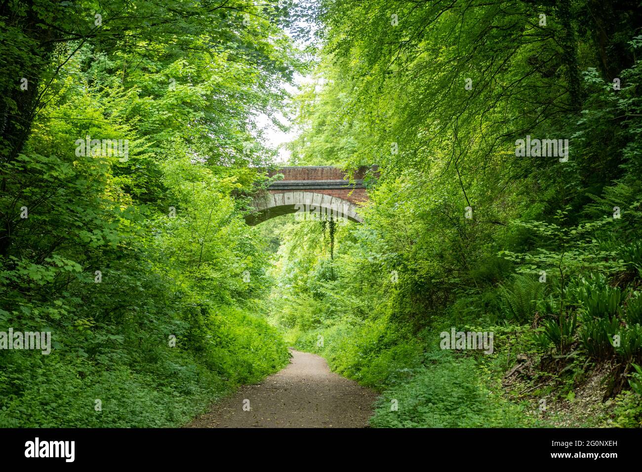 Railway bridge over the Meon Valley Trail, a route following the