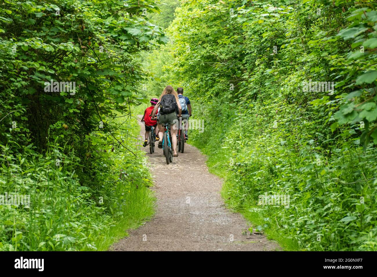 Family cycling along the Meon Valley Trail near West Meon in Hampshire, England, UK, during June or Summer. Stock Photo