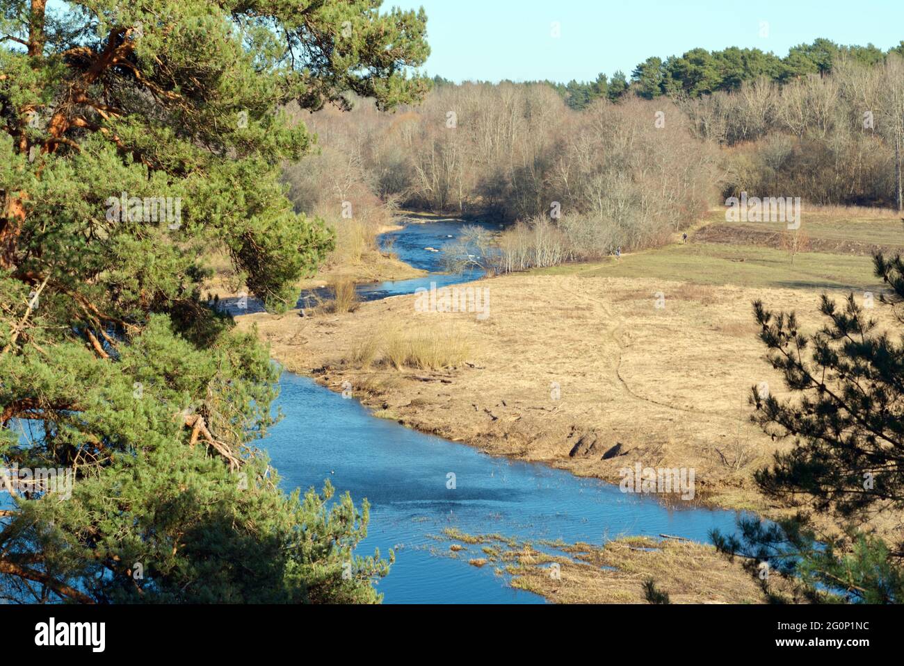landscape with forest, field and a river. beautiful view on river Stock Photo