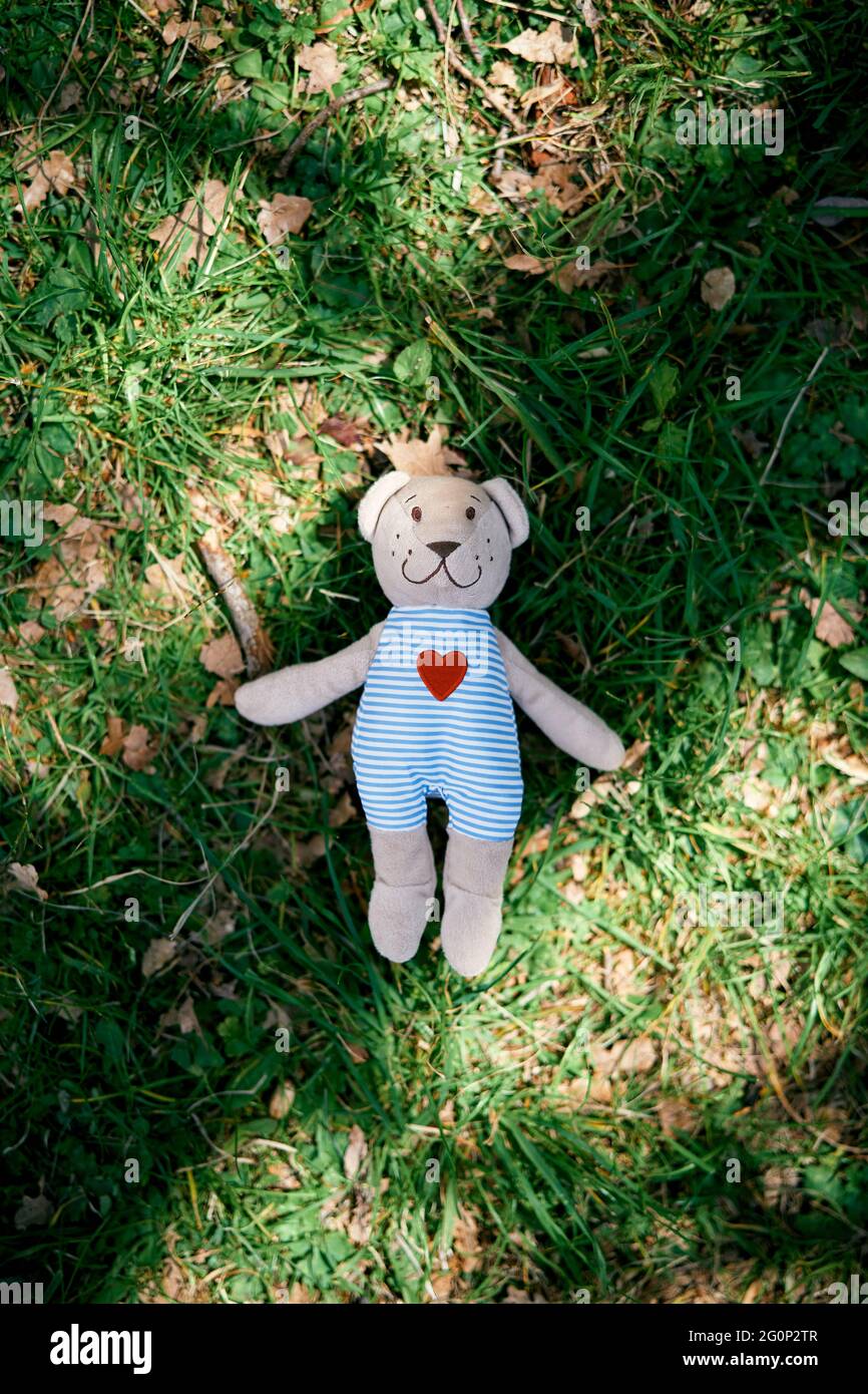 Little teddy bear lies on the green grass Stock Photo - Alamy