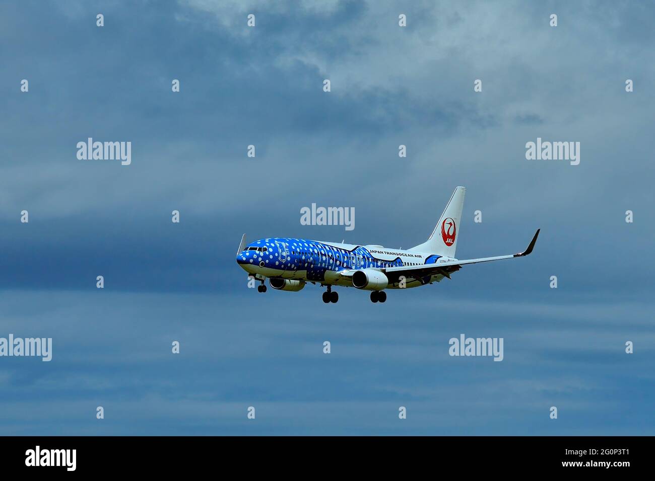 Japan Transocean Air, JTA, Boeing B-737/800, JA 05RK, Whaleshark, Landing, Naha Airport, Naha, Okinawa, Ryukyu Islands, Japan Stock Photo