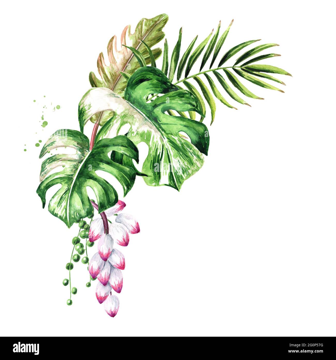 Leaves and flowers of exotic tropical or jungle plants bouquet ...