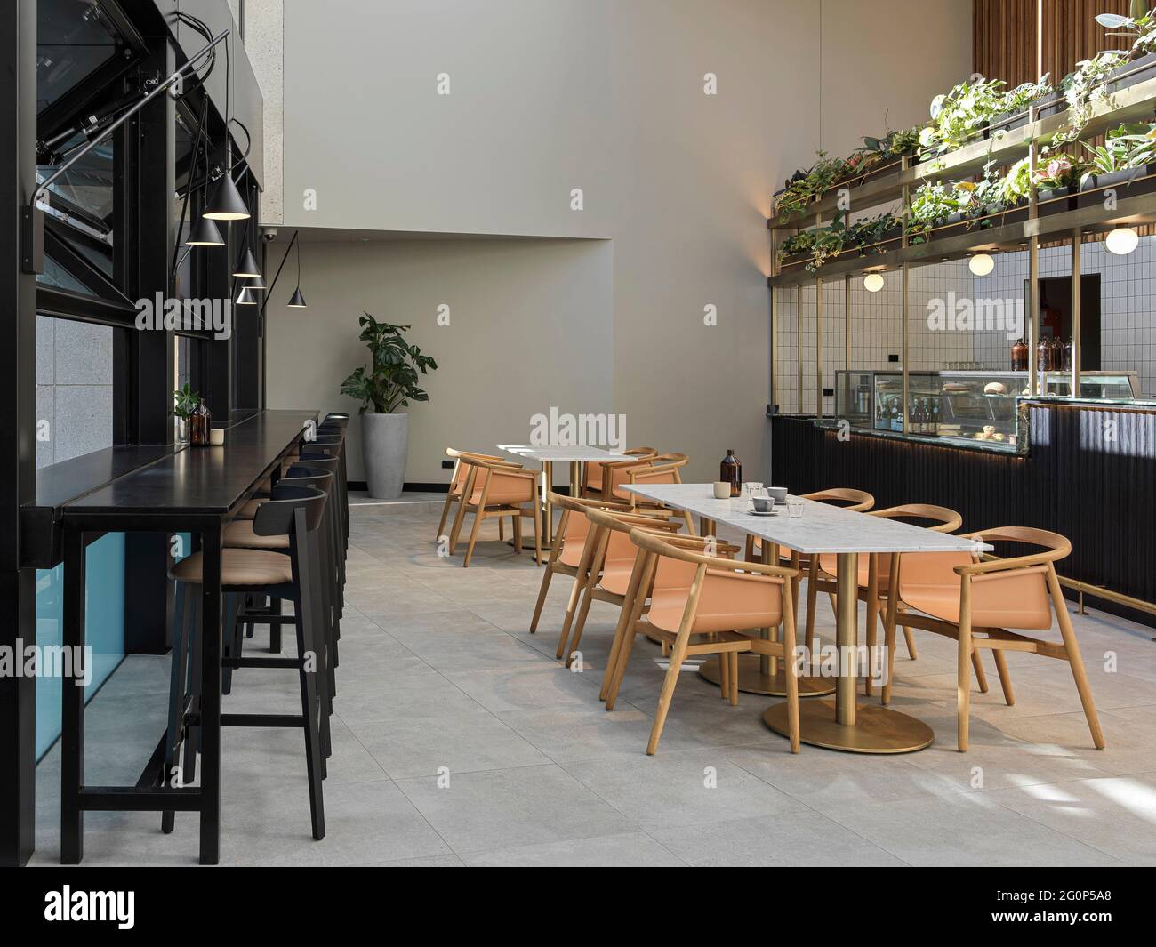 Lobby cafe seating area. 65 Pirrama Road, Pyrmont, Australia. Architect: Gray Puksand, 2021. Stock Photo