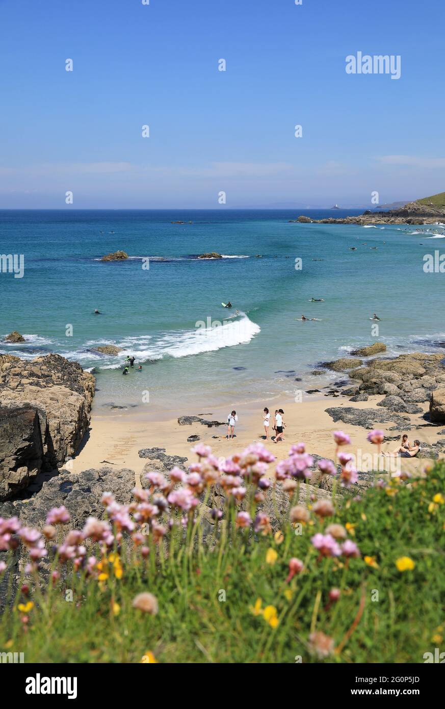 Summer beach scenery with flowers hi-res stock photography and