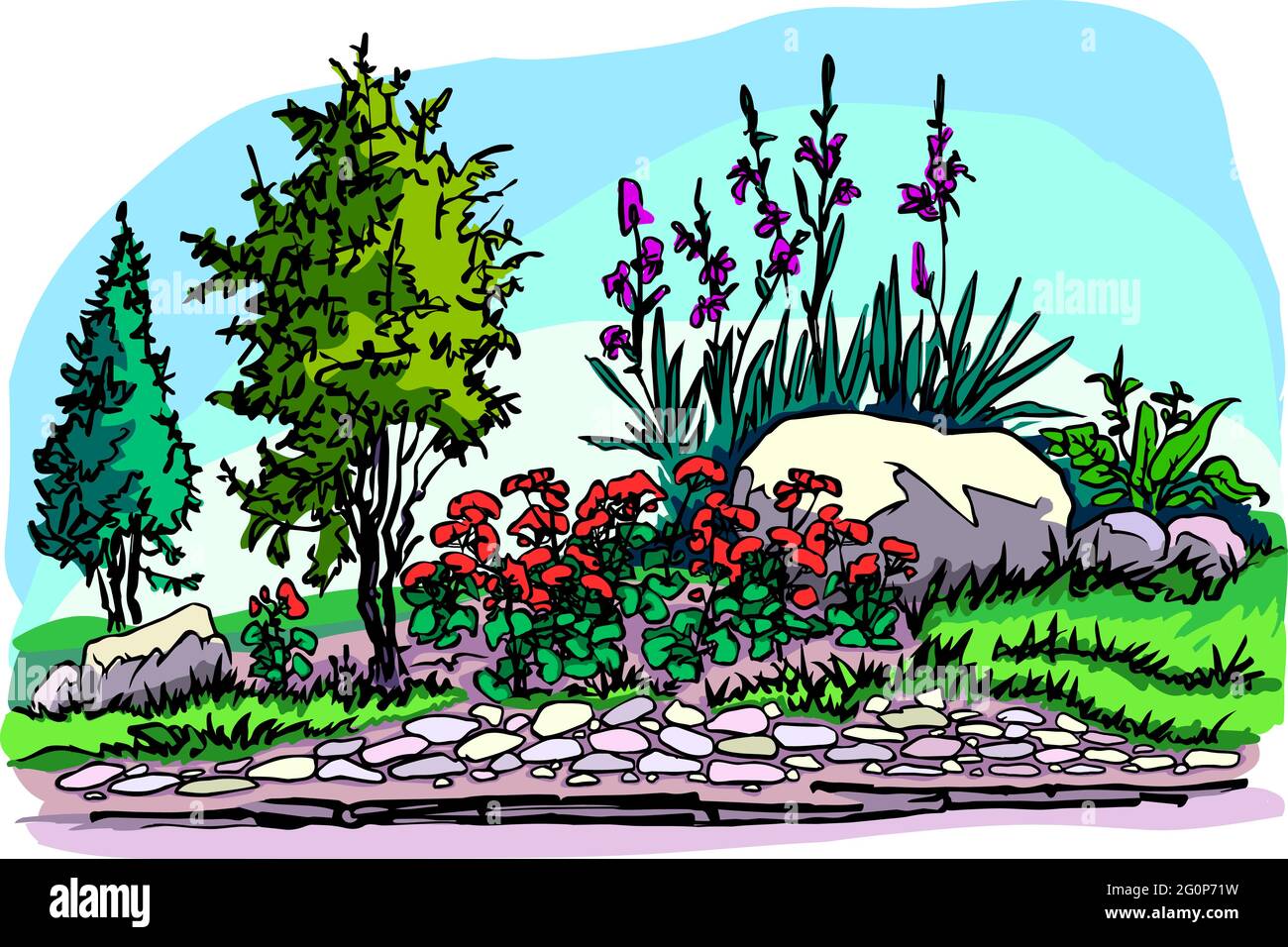 A flower bed with stones, conifers, geraniums, irises and hosta. Stock Vector