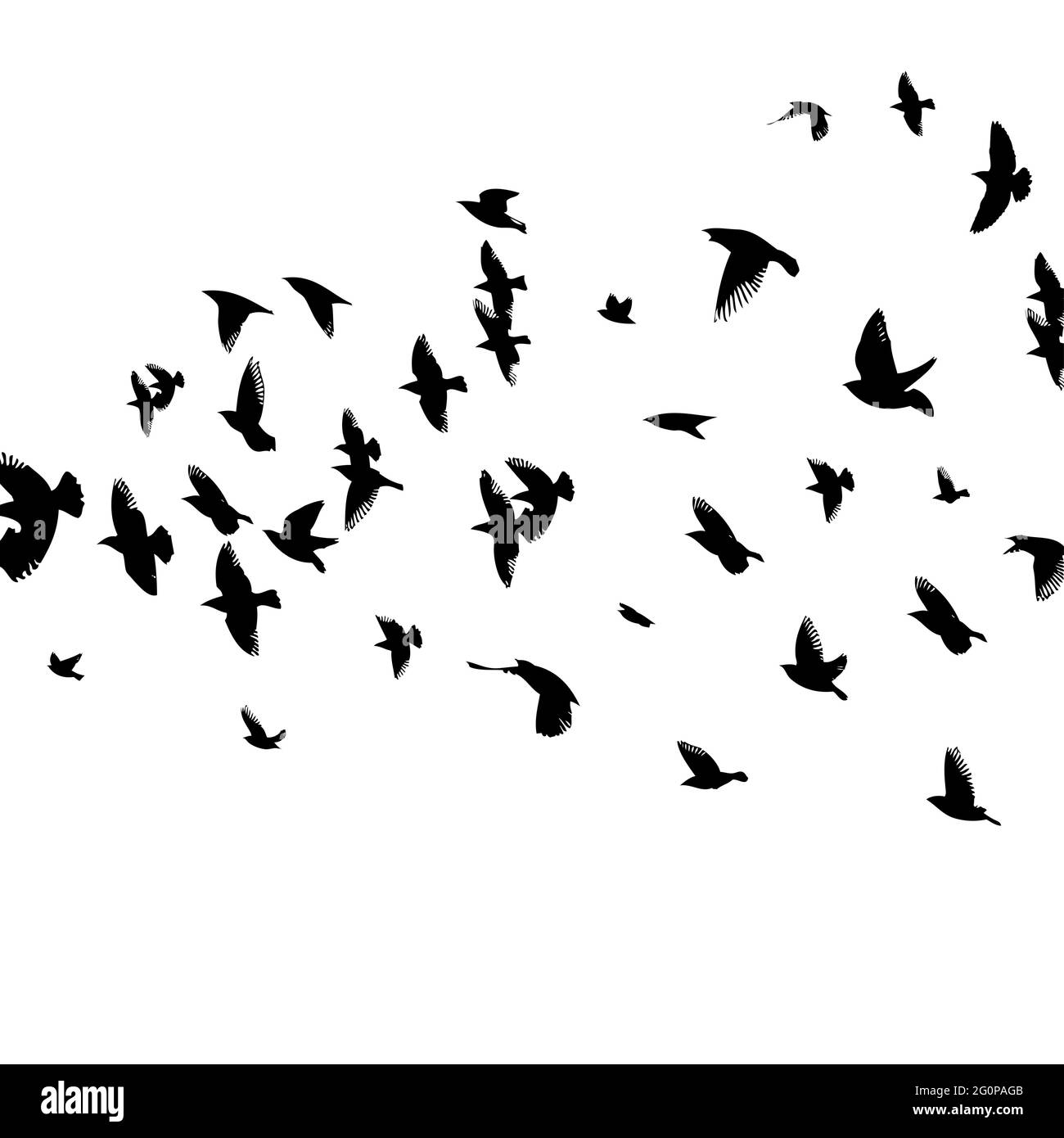 A flock of flying birds. Vector illustration Stock Vector