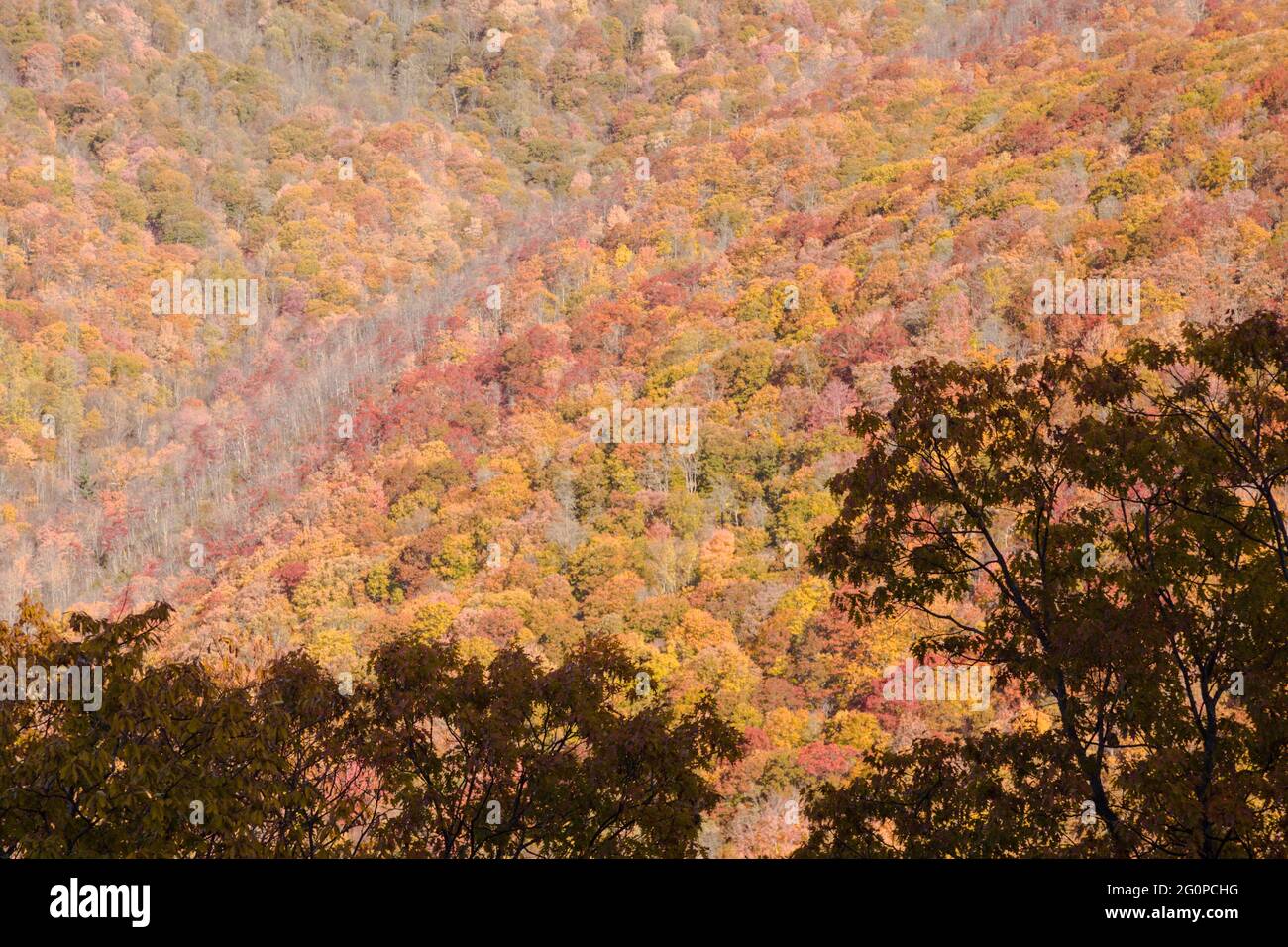 Autumn in Maggie Valley, North Carolina Stock Photo Alamy
