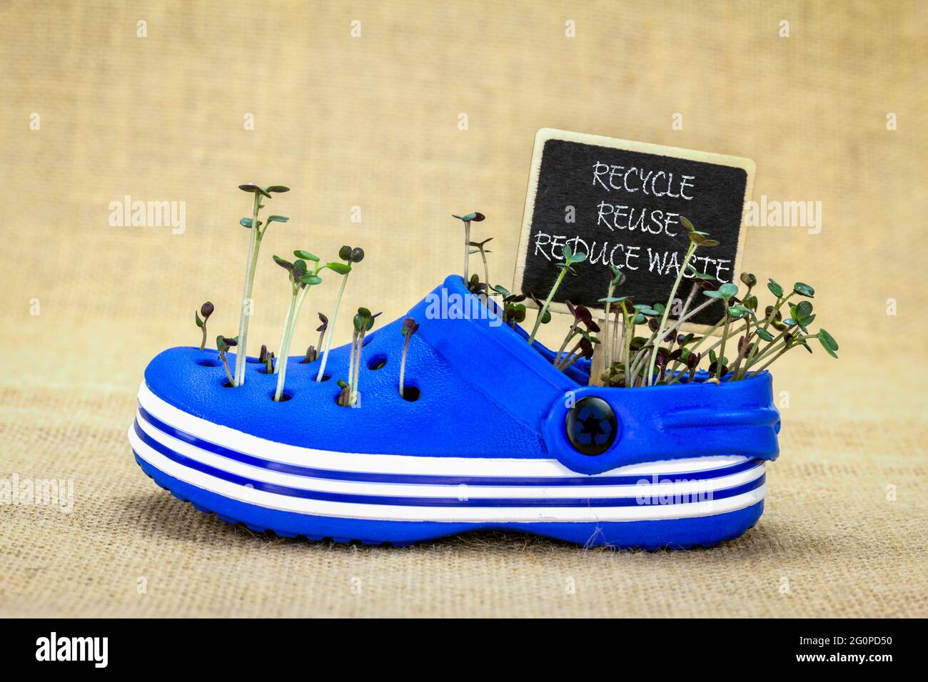 plastic shoe reused to grow seedling, recycle, reused reduce waste chalkboard sign, sustainable living Stock Photo