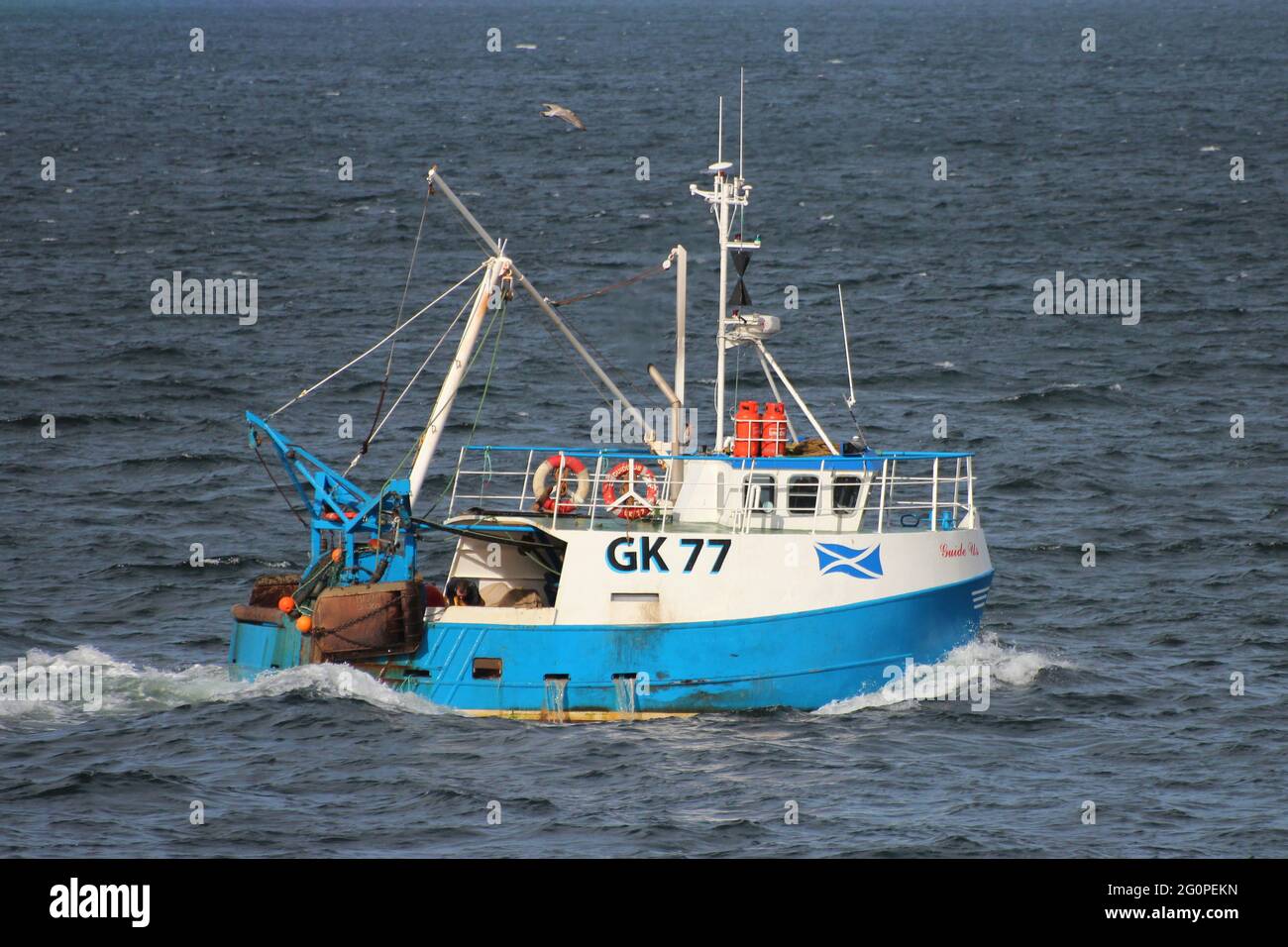 Guide Us (GK77), a Greenock-registered fishing boat, working the waters of  the Firth of Clyde just off Gourock in Inverclyde Stock Photo - Alamy