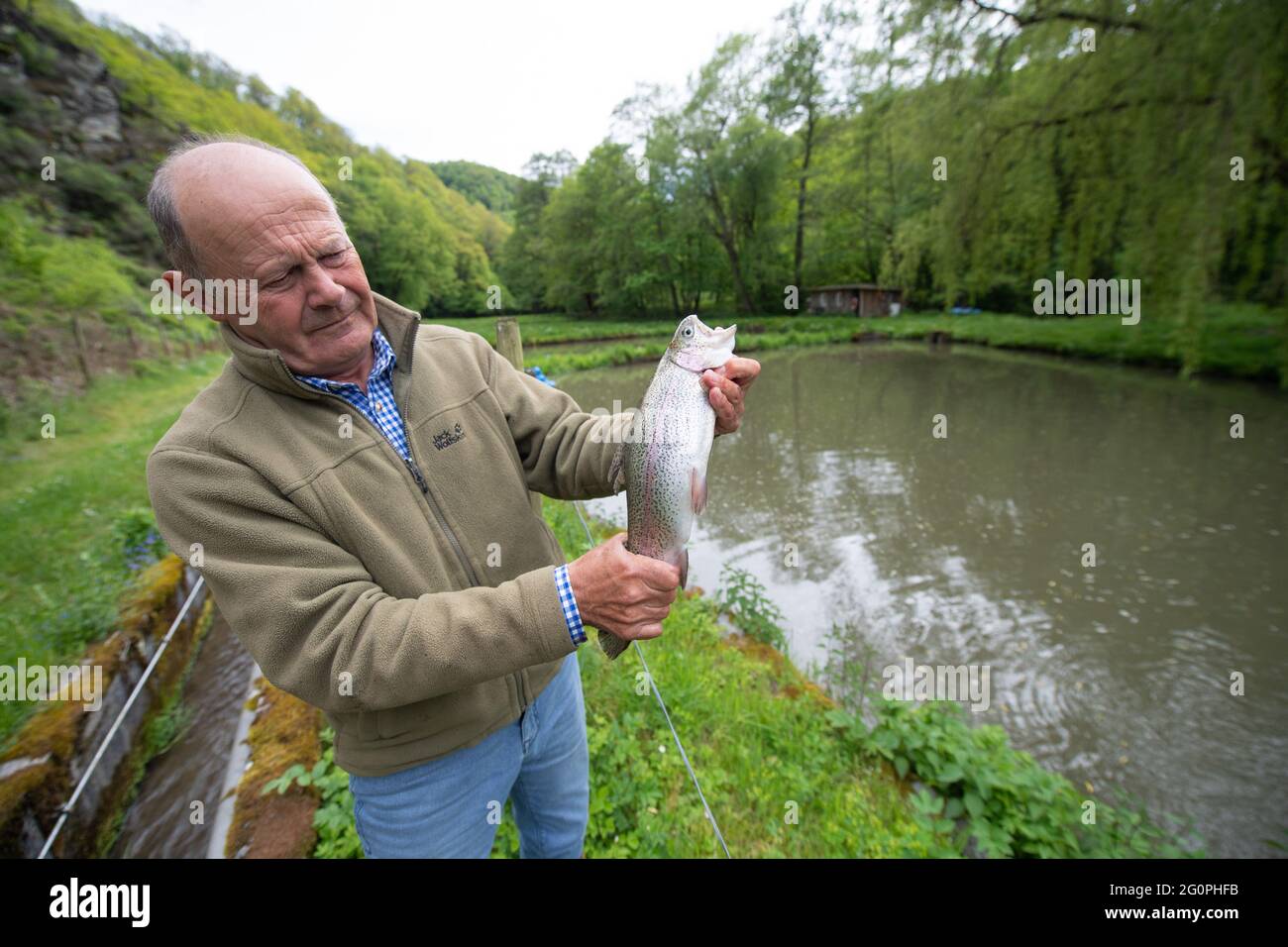 Lorch, Germany. 28th May, 2021. Siegbert Seitz checks the condition of a  salmon trout. Deep in the Wispertal near Lorch in the Rheingau, he produces  around 100,000 fish a year on his