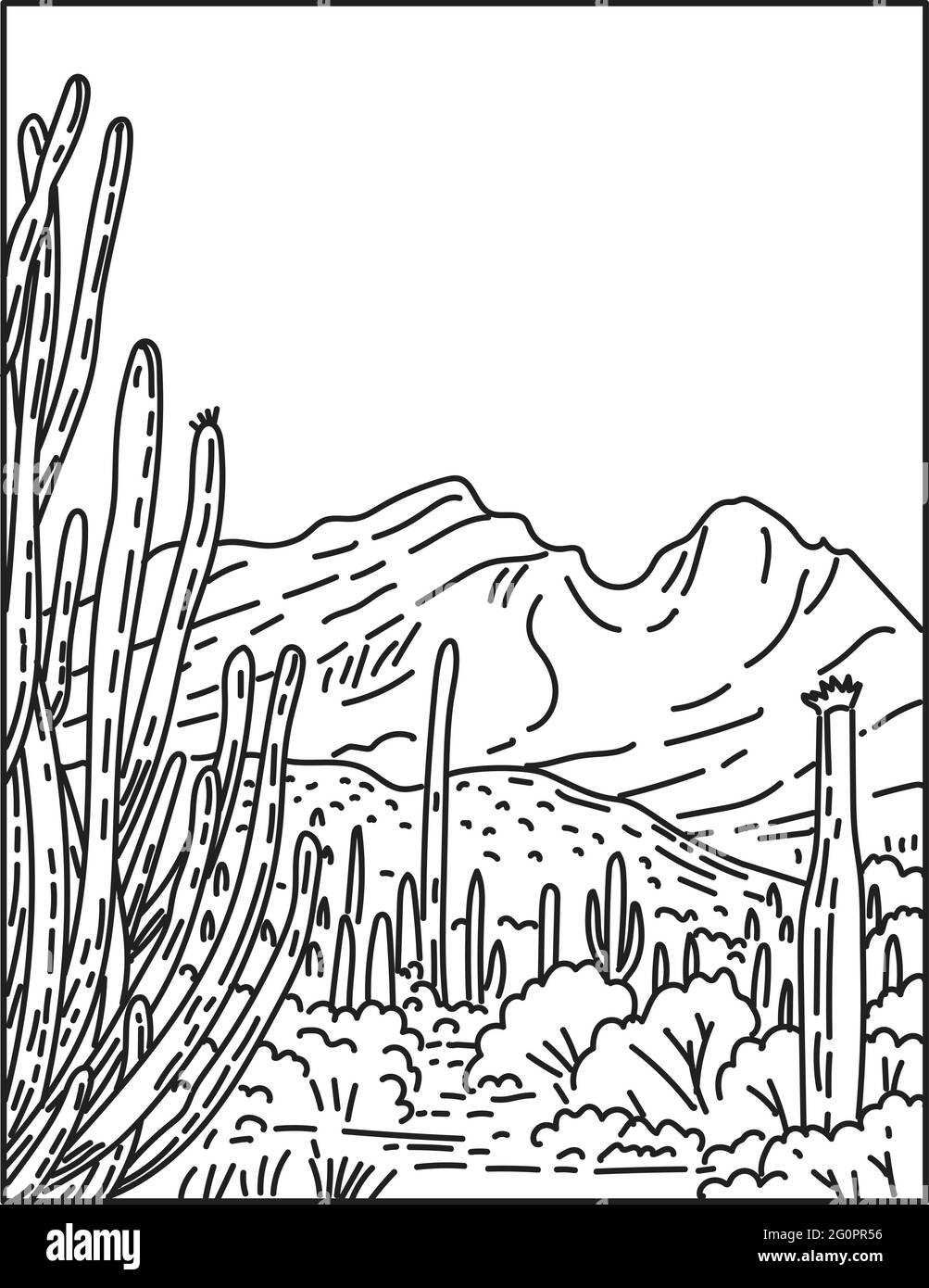 Mono line illustration of Organ Pipe Cactus National Monument in the Sonoran Desert located in extreme southern Arizona, United States done in retro b Stock Vector