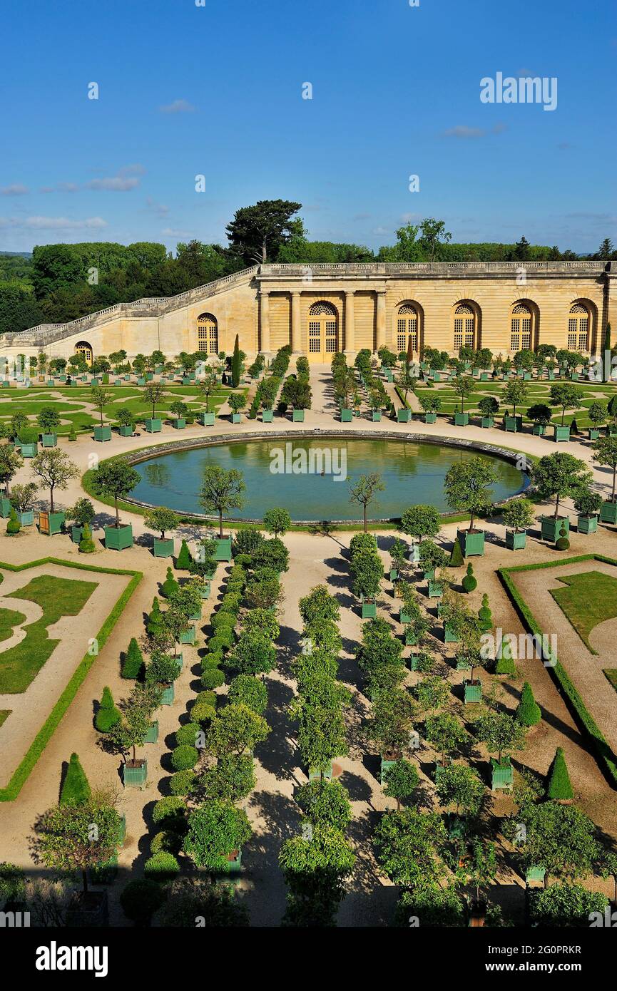FRANCE, YVELINES (78) DOMAINE DE VERSAILLES, THE ORANGERIE GARDENS
