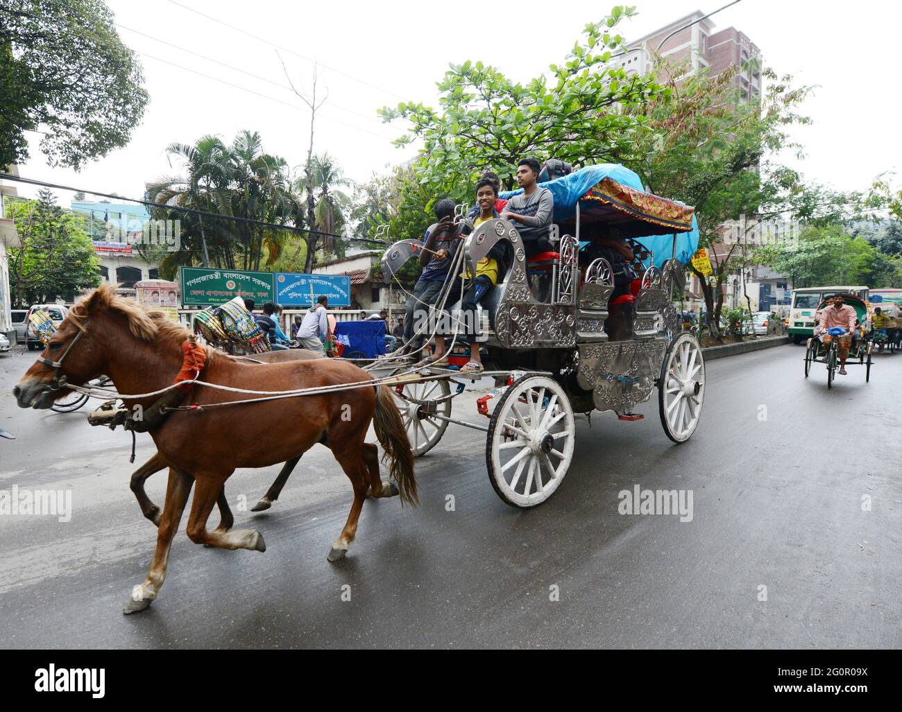 Horse of bangladesh hires stock photography and images Alamy