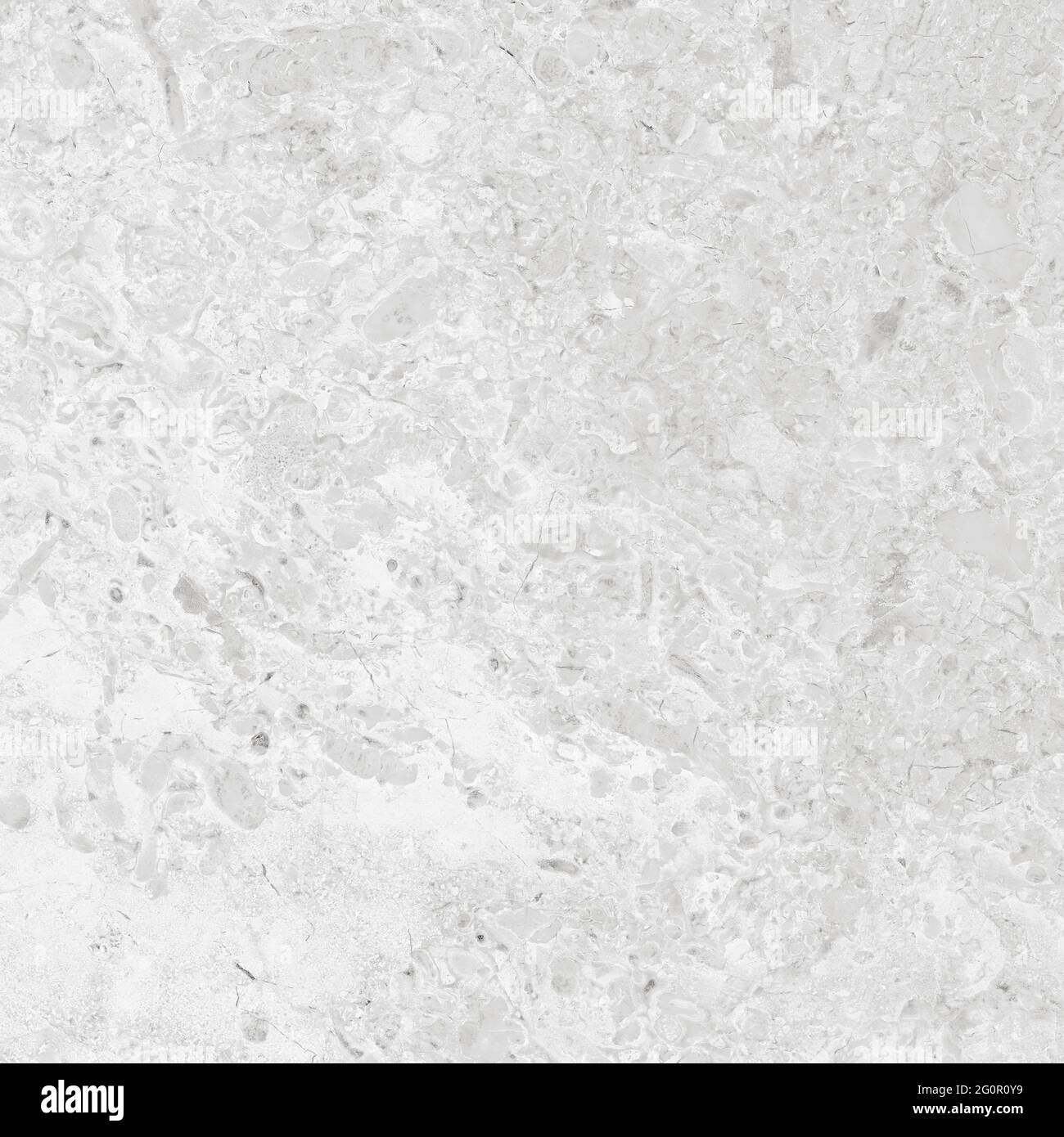 White color background hi-res stock photography and images - Alamy