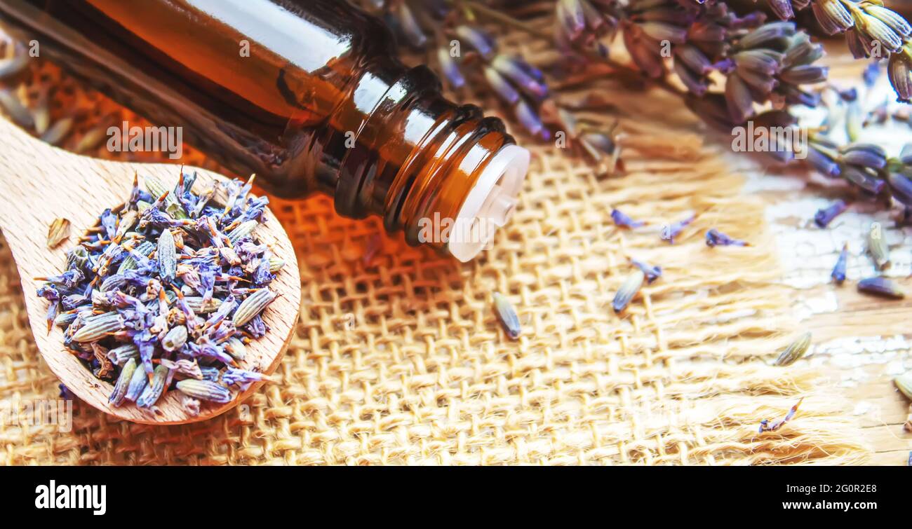 Lilac essential oil in a small bottle. Selective focus. Nature Stock Photo  - Alamy