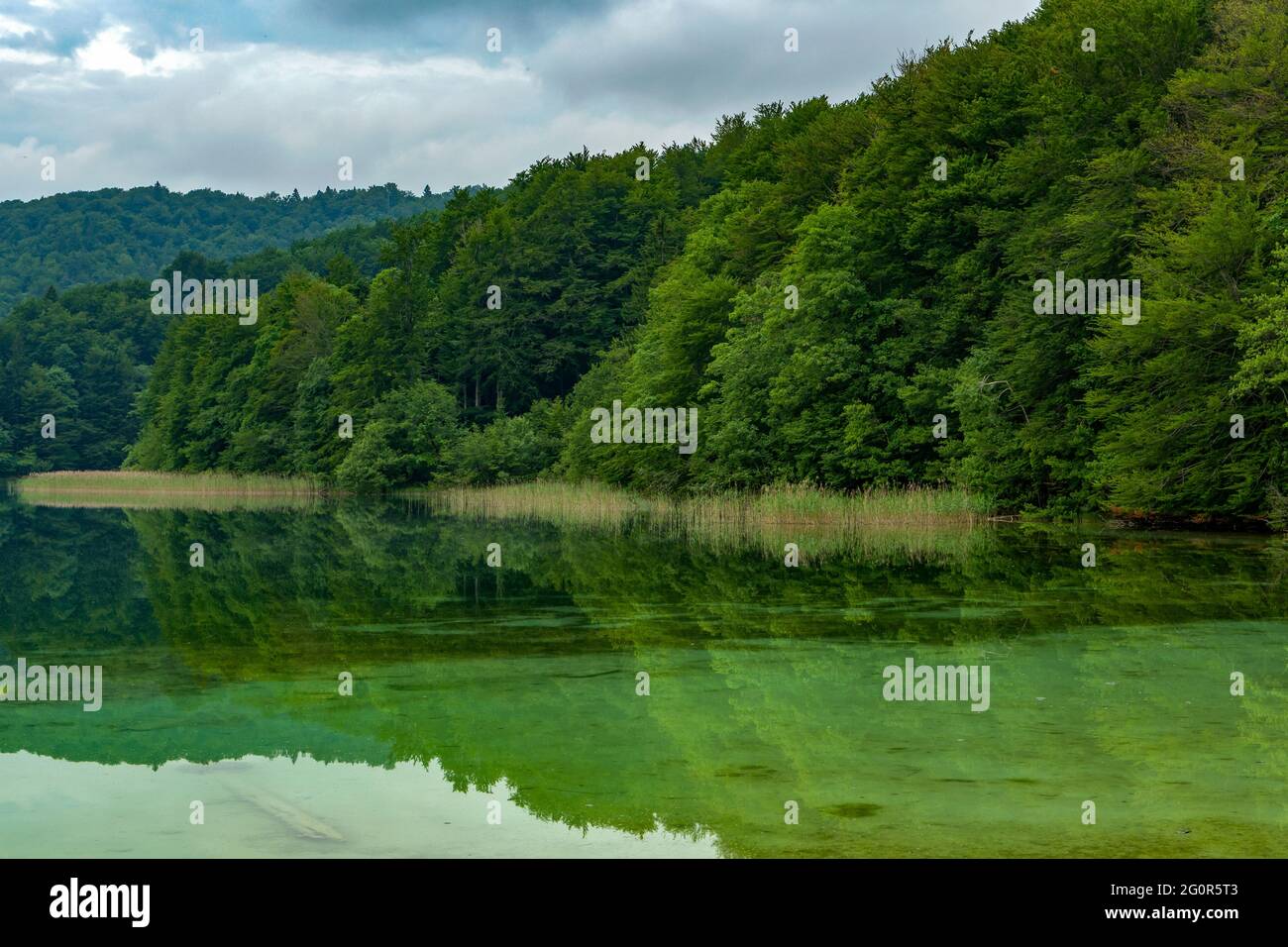 Ciginovac Lake, Plitvice Lakes National Park, Croatia Stock Photo