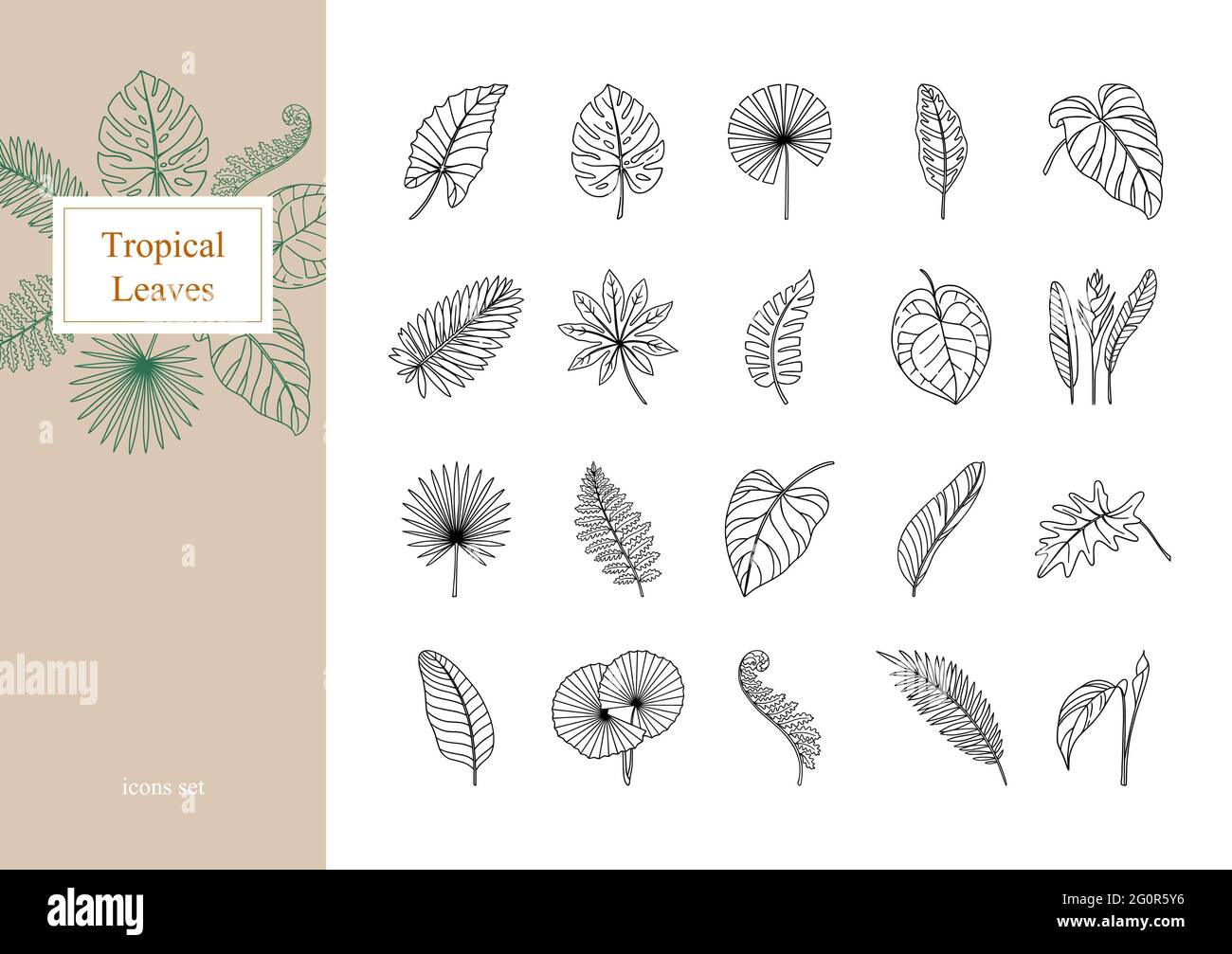 Set of exotic tropical leaves. Stock Vector