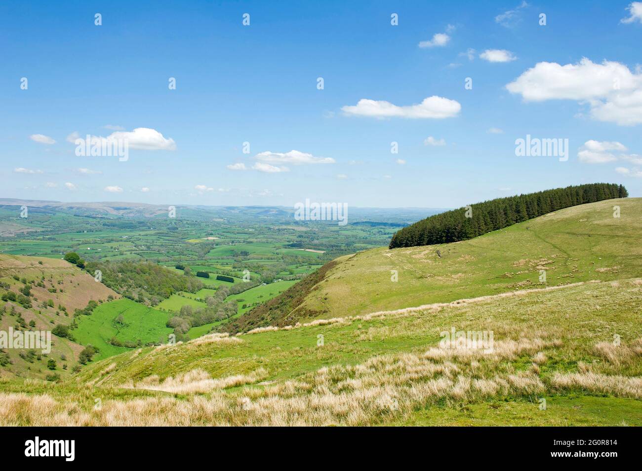 Mountains, hills and valleys, Powys, Mid Wales Stock Photo