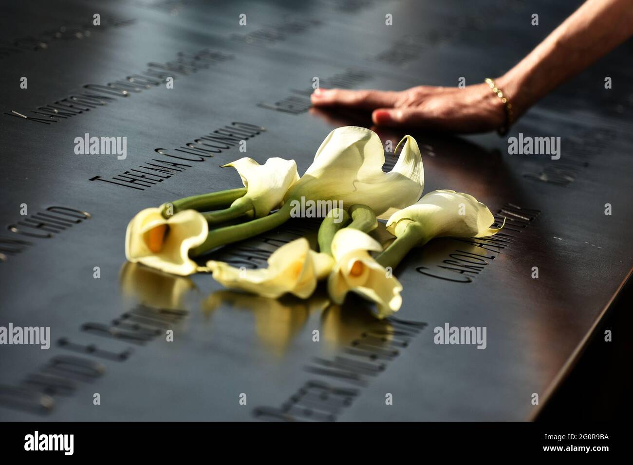 Remembering the fallen Stock Photo