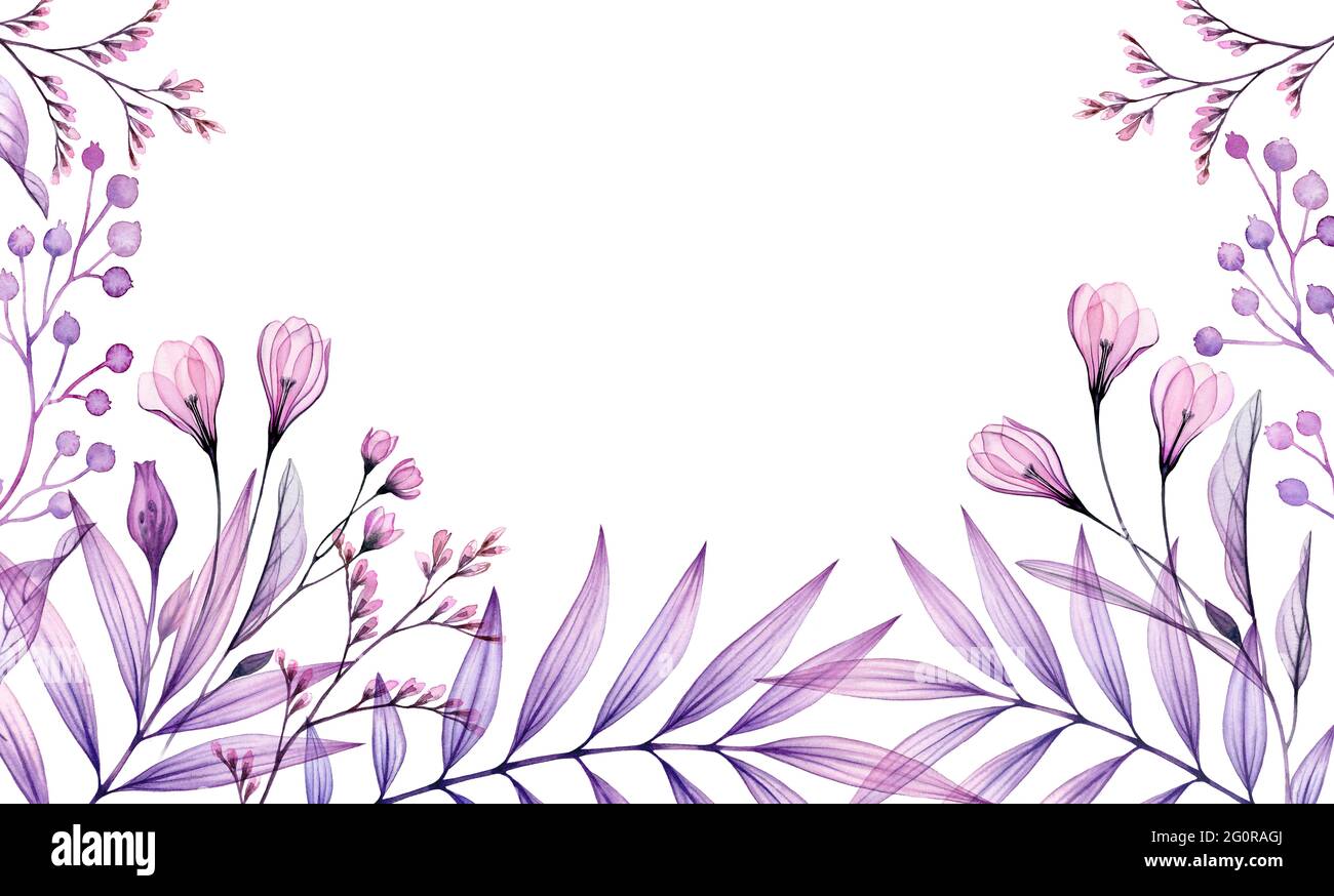 Watercolor floral background in purple. Horizontal frame with place for  text. Hand painted banner with transparent violet flower and tropical  leaves Stock Photo - Alamy