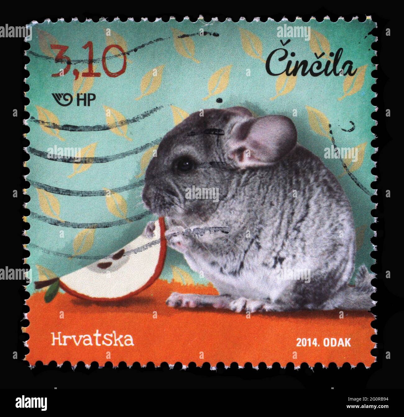 A stamp printed in Croatia shows Lesser Chinchilla (Chinchilla lanigera), Series: Children's World - Pets, circa 2014 Stock Photo