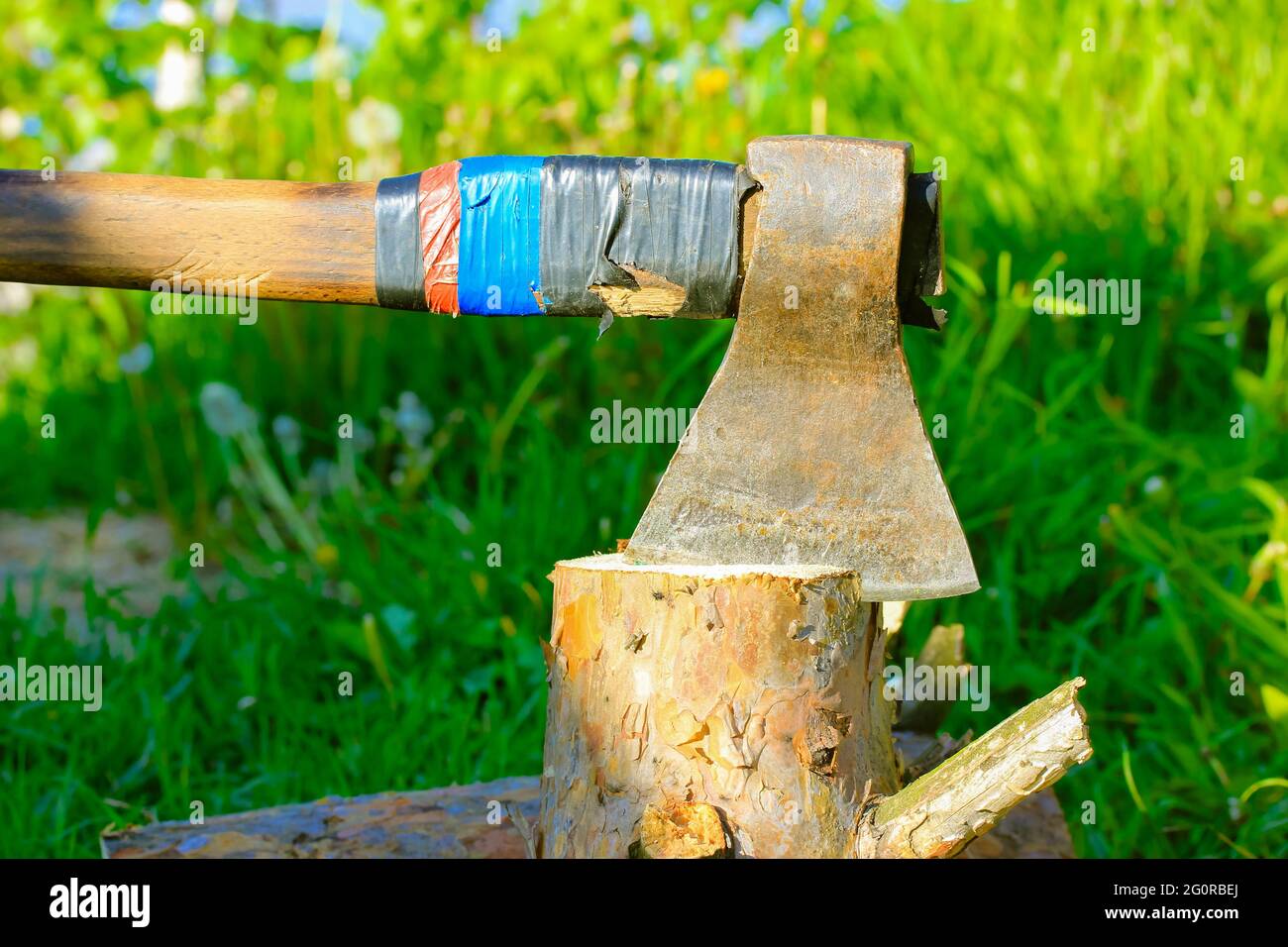 Chopping wood with an old metal axe or hatchet with a wooden handle in  nature. Stump of pine tree on green grass. in summer day. Rural life, a  househo Stock Photo -