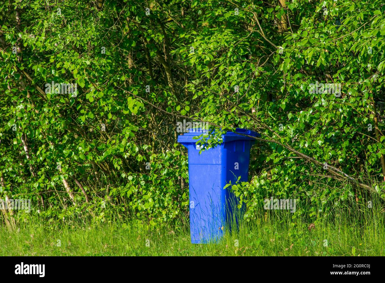 single empty blue waste bin in a public park standing in the bushes