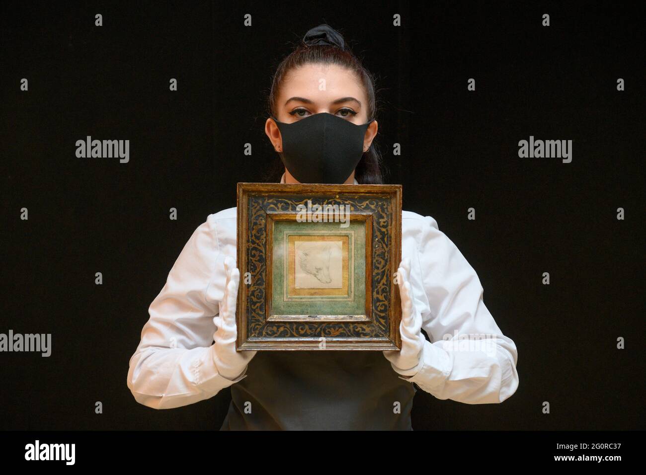 Christie’s, London, UK. 3 June 2021. On 8 July Leonardo da Vinci’s Head of a Bear drawing will be offered for sale, estimate £8,000,000-12,000,000, held by Christie’s art handler at the press preview. Credit: Malcolm Park/Alamy Live News. Stock Photo